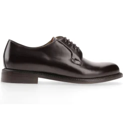 Berwick 1707 Derby>3680-K3 Rois Marrone