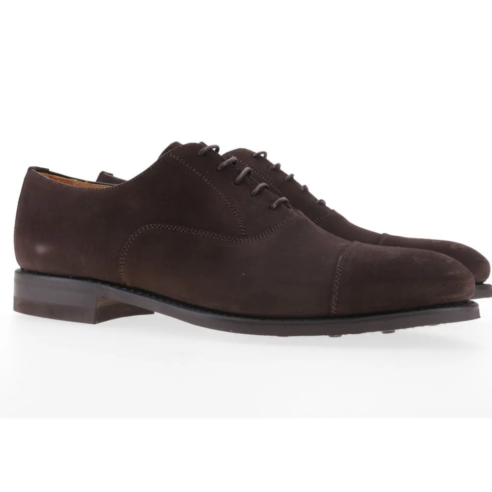 Berwick 1707 Oxford>5217-T03 Superbuck 173