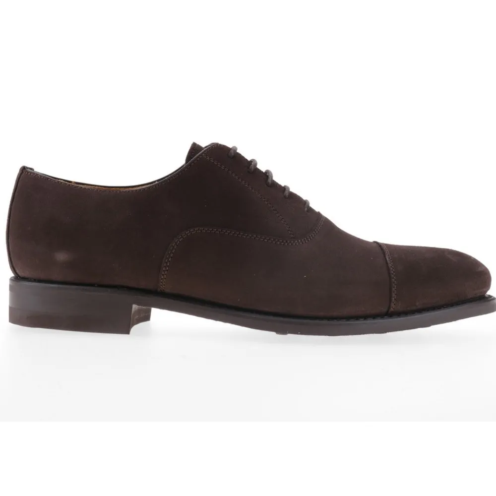 Berwick 1707 Oxford>5217-T03 Superbuck 173