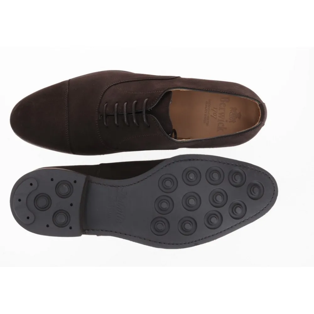Berwick 1707 Oxford>5217-T03 Superbuck 173